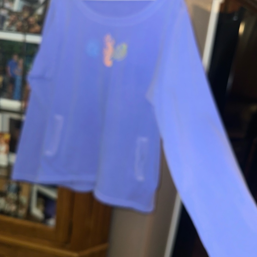 XL/XXL Stretchy Fresh Produce Blue Distressed Sweatshirt. Runs small ! - Picture 9 of 15